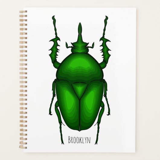 Illustration de bug Mecynorhina torquata (Devant)
