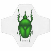 Illustration de bug Mecynorhina torquata (Plat)