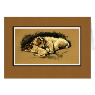 Illustration de caresse de deux chiens
