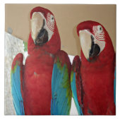 Illustration de carreau tropical de couple d'aras (Devant)