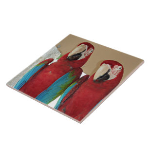 Illustration de carreau tropical de couple d'aras