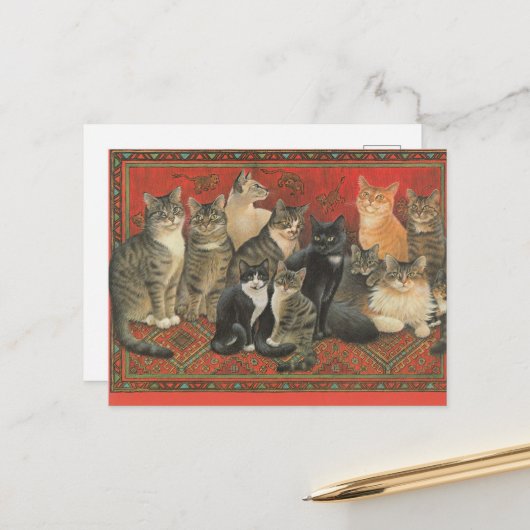 ILLUSTRATION DE CARTE POSTALE CAT (Devant/Arrière en situation)