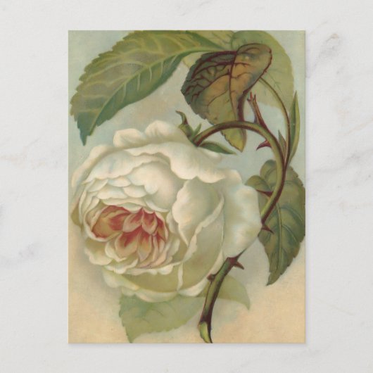 Illustration de carte postale Rose victorienne (Devant)