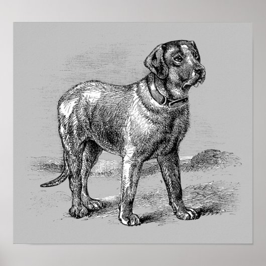 Illustration de chien vintage - Impression d'archi (Devant)