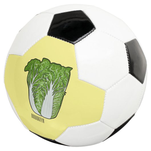 Illustration de chou chinois (3/4)