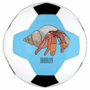 Illustration de crabe ermite