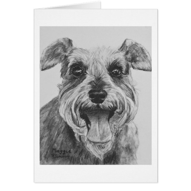 Illustration de croquis de Schnauzer (Devant)