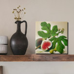 illustration de fig vintage<br><div class="desc">Voici notre illustration vintage de figues, avec des fruits mûrs et succulents ornés de feuilles verts vibrants. Cette belle oeuvre d'art saisit l'essence de la Méditerranée, apportant une atmosphère chaleureuse et accueillante à tout espace. L'illustration est minutieusement imprimée sur un carrelage en céramique de haute qualité, ce qui en fait...</div>