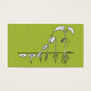 Illustration de germination de plante