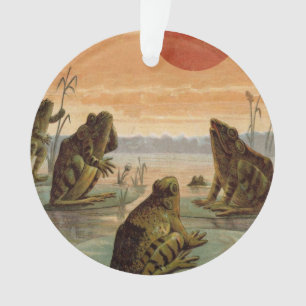 Illustration de grenouilles sur nénuphars sous la