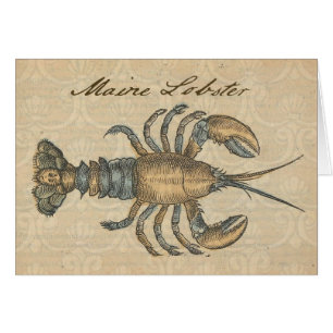 Illustration de homard, fruits de mer du Maine
