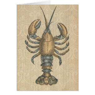 Illustration de homard vintage : damas côtier