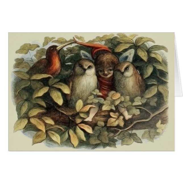 Illustration de la nature des hiboux et des fées d (Devant horizontal)