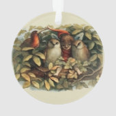 Illustration de la nature des hiboux et des fées e (dos)