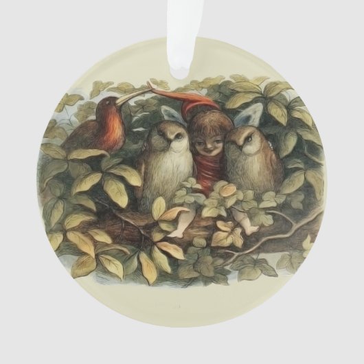 Illustration de la nature des hiboux et des fées e (devant)