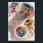 Illustration de la vie marine - Poster d'Ernst Hae<br><div class="desc">Discomedusae-Scheibenquallen de Kunstformen der Natur (1904) par Ernst Haeckel (1843-1919), zoologue allemand, naturaliste, professeur et biologiste marin. Original de la Bibliothèque du Congrès. Les formes géométriques et naturelles, capturées avec une précision exceptionnelle.</div>