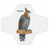 Illustration de l'aigle à faucon orné (Plat)