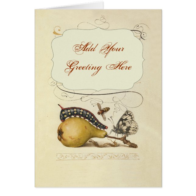 Illustration de l'insecte du fruit du papillon (Devant)