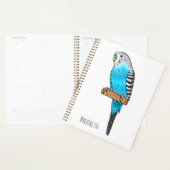 Illustration de l'oiseau bleu budgerigar (Devant avec enveloppe)