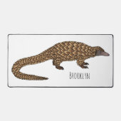 Illustration de pangolin à queue longue (Recto)