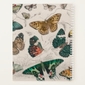 Illustration de papillon antique : 1820 Orfèvre (Dos)