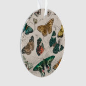 Illustration de papillon antique : 1820 Orfèvre (devant)