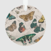 Illustration de papillon antique : 1820 Orfèvre (dos)