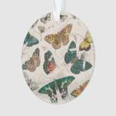 Illustration de papillon antique : 1820 Orfèvre (devant)