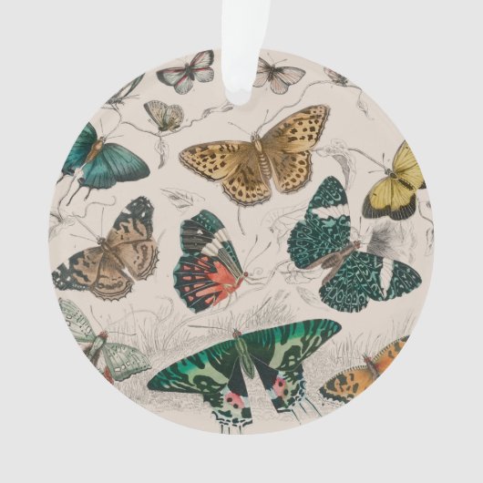 Illustration de papillon antique : 1820 Orfèvre (devant)