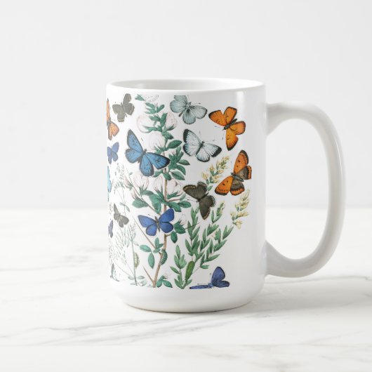Illustration de papillons vintages sur une tasse d (Droite)