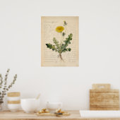 Illustration de poster botanique de pissenlit vint (Cuisine)