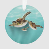 Illustration de tortues marines (devant)