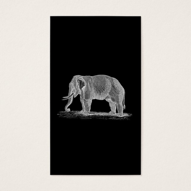 Illustration de White Elephant Vintage 1800 (Devant)