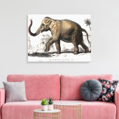 Illustration d'éléphant Impression d'art vintage (Insitu(Salon))