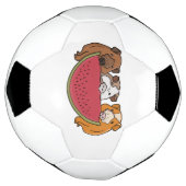 Illustration des Cochons de Guinée et de la pastèq (Tourné)