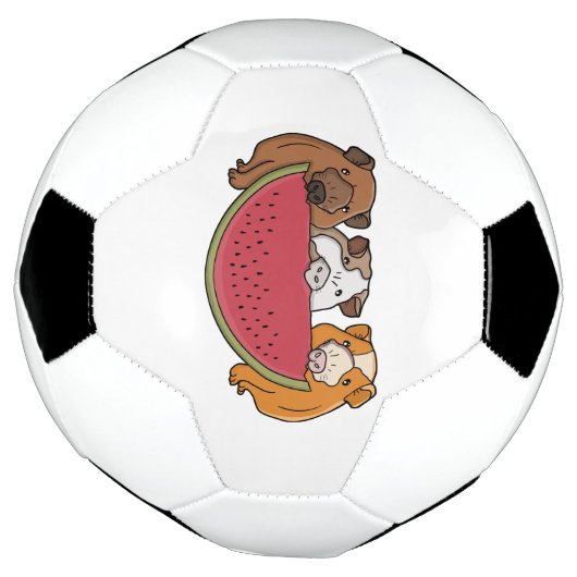 Illustration des Cochons de Guinée et de la pastèq (Tourné)