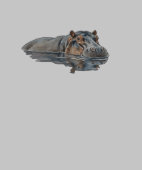 Illustration d'hippopotame à l'aquarelle dans l'ea (Collier)