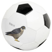 Illustration d'oiseau de faucon pèlerin (3/4)