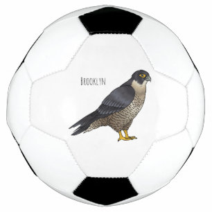 Illustration d'oiseau de faucon pèlerin