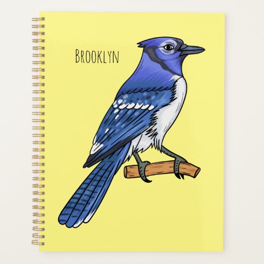 Illustration d'oiseau de jay bleu (Devant)