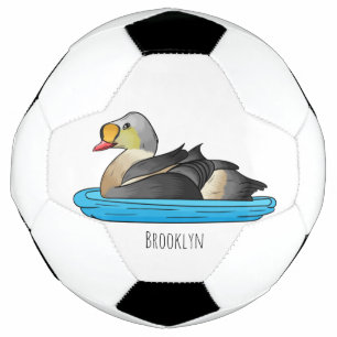 Illustration d'oiseau de l'eider King