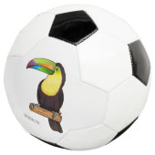 Illustration d'oiseau toucain à bec de Keel (3/4)