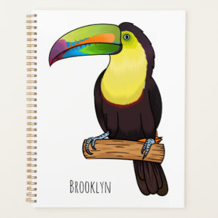 Illustration d'oiseau toucain à bec de Keel