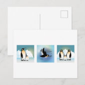 Illustration d'oiseaux - La carte postale de la fa (Devant / Derrière)