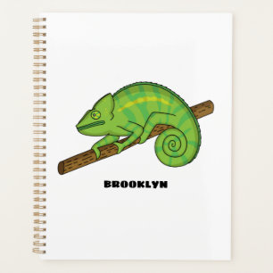 Illustration du caméléon de la parson