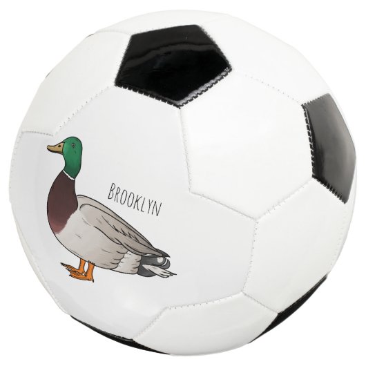 Illustration du canard de Majard (3/4)