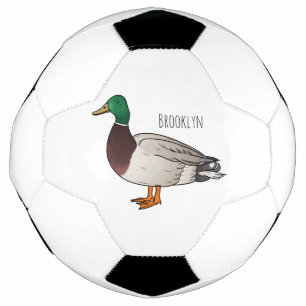 Illustration du canard de Majard