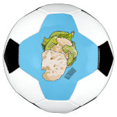 Illustration du chou-fleur (Tourné)