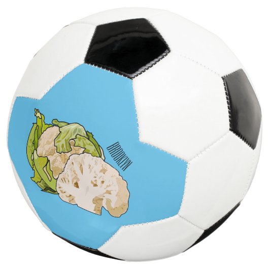 Illustration du chou-fleur (3/4)