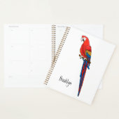 Illustration du perroquet de macaw Scarlet (Devant avec enveloppe)